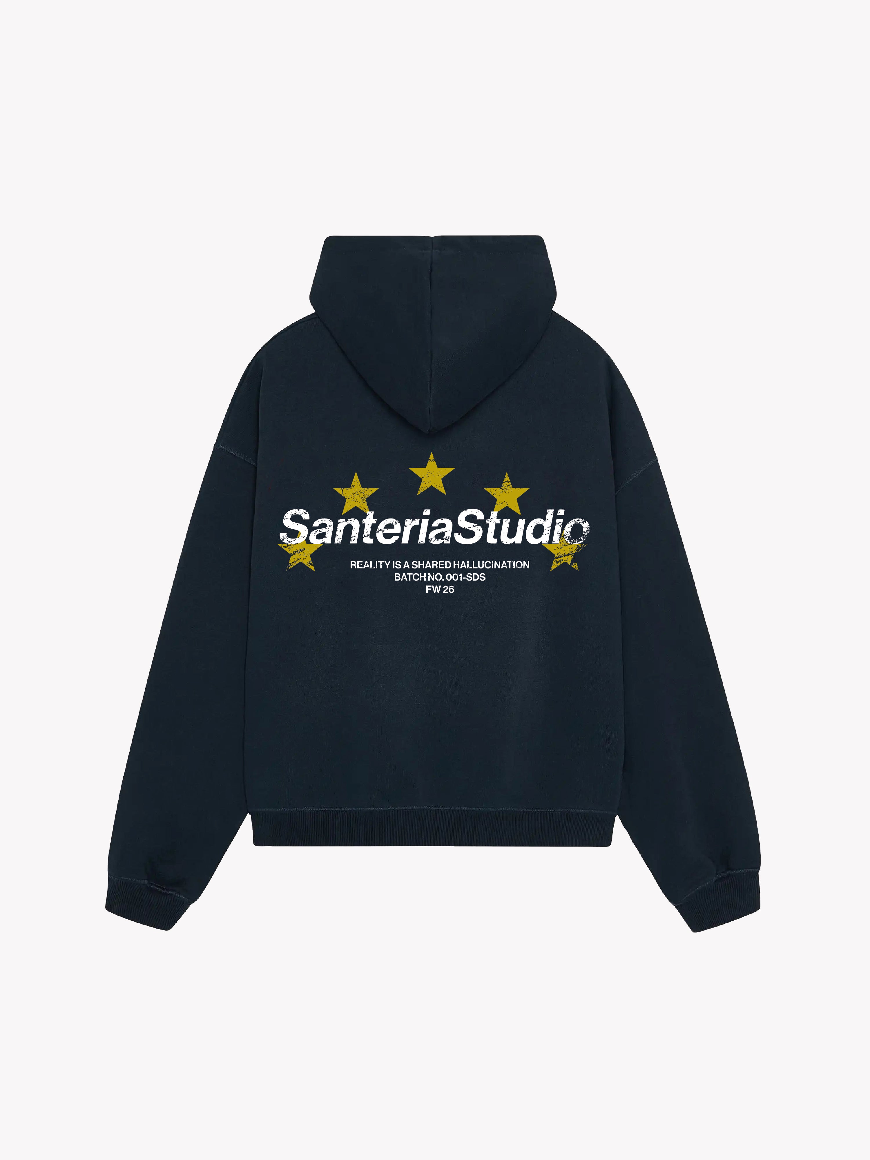 REALITY STARS NAVY HOODIE